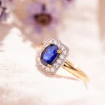 Julien d’Orcel Millau