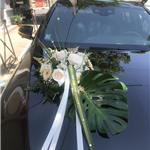 A Tout Fleur - Fleuriste Millau